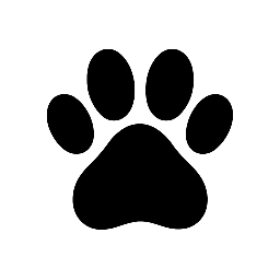Maltipoo Breeders; Buy Puppies Direct from their family